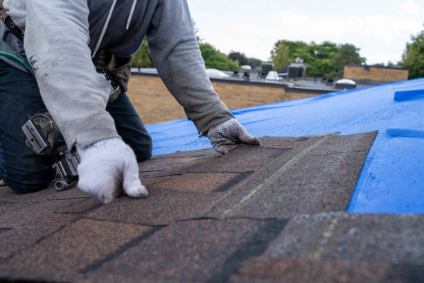Quick and Trustworthy Emergency Roof Repair Services in Farrell, PA