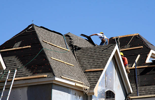 Best Roof Gutter Cleaning  in Farrell, PA