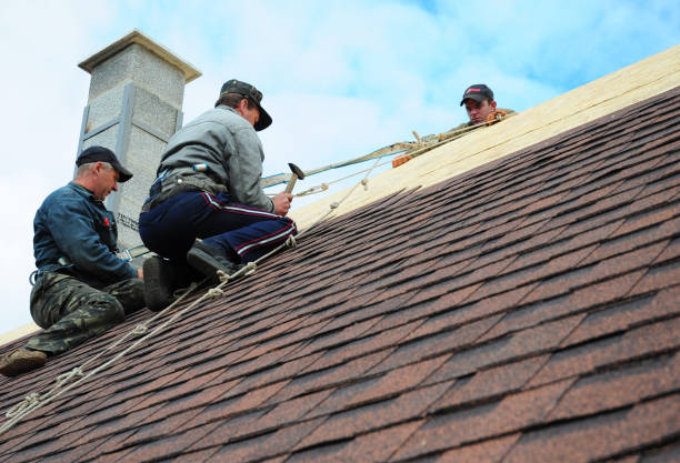 Best Shingle Roofing Installation  in Farrell, PA