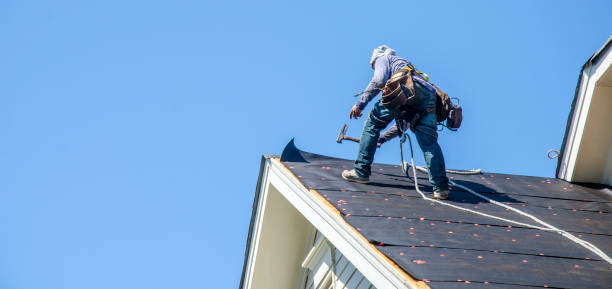 Best Roof Waterproofing Services  in Farrell, PA